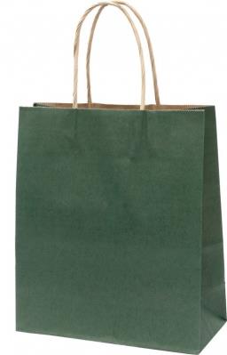 Opakowanie Torba prezentowa creative eko mała zielona 10 sztuk