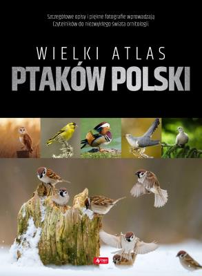 Wielki atlas ptaków Polski. Autor: Opracowanie zbiorowe. SmakLiter.pl Okładka książki Wielki atlas ptaków Polski