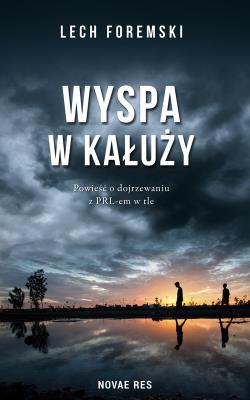 Okładka książki Wyspa w kałuży