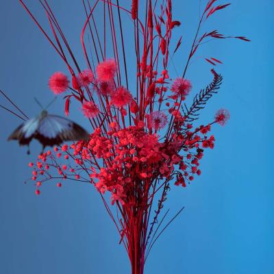 Z dolnej półki. Wydawca: Agora. SmakLiter.pl Opakowanie Z dolnej półki