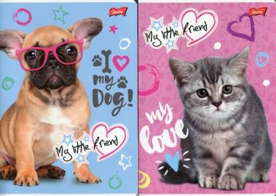 Zeszyt A5 16 kartek w kratkę My Little Pony 10 sztuk. Wydawca: St. Majewski. SmakLiter.pl Opakowanie Zeszyt A5 16 kartek w kratkę My Little Pony 10 sztuk