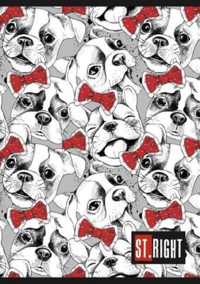 Opakowanie Zeszyt A5 w linie podwójną dwukolorową 32 kartki 15 sztuk