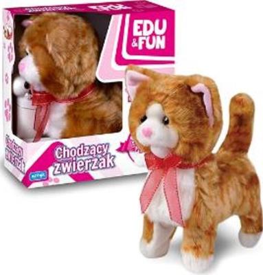 Opakowanie Chodzący kotek Edu&Fun