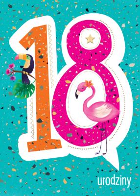 Opakowanie Karnet B6 18-nastka Flaming