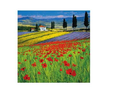 Opakowanie Karnet kwadrat z kopertą Field of dreams