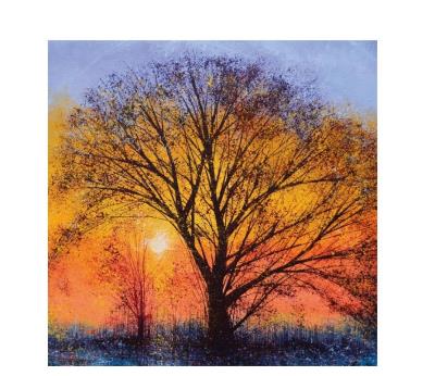 Opakowanie Karnet kwadrat z kopertą The Big Tree