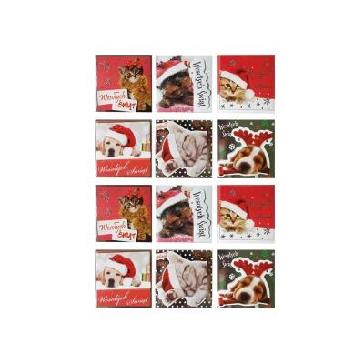 Opakowanie Karnety prezentowe - zwierzęta 24szt