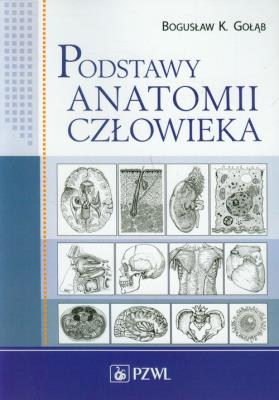 Okładka książki Podstawy anatomii człowieka. Podr. dla studentów
