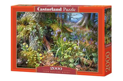 Opakowanie Puzzle 2000 Z lasu w Rusland CASTOR