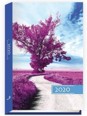 Opakowanie Terminarz 2020 B6 Kolorowy drzewo