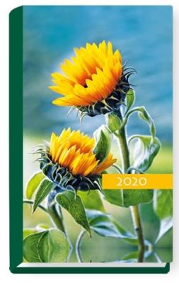 Opakowanie Terminarz 2020 Tygodniowy Kolorowy słoneczniki