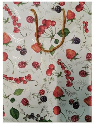 Opakowanie Torebka ozdobna BXS502067 Frutta mała