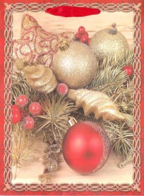 Opakowanie Torebka prezentowa BN 0186-03