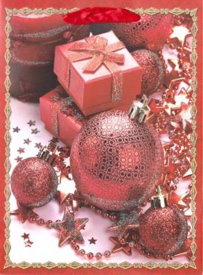 Opakowanie Torebka prezentowa BN 0186-04