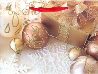 Opakowanie Torebka prezentowa BN 0190-03