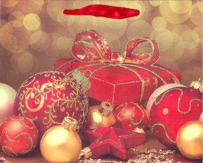 Opakowanie Torebka prezentowa BN 0191-01