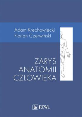 Okładka książki Zarys anatomii człowieka