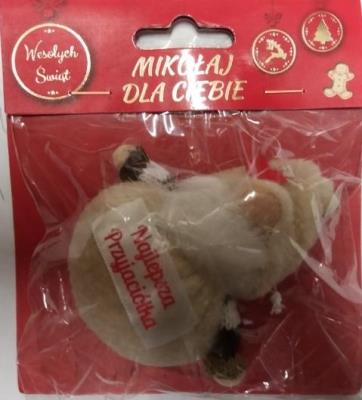 Opakowanie Dekoracja BN - Najlepsza przyjaciólka Mikołaj