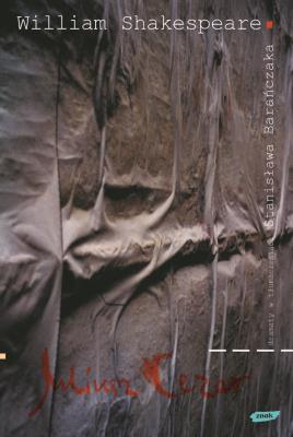 Okładka książki Juliusz Cezar