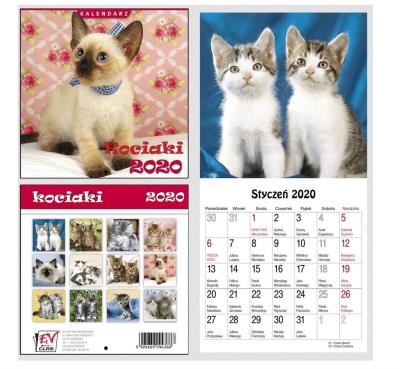 Opakowanie Kalendarz zeszytowy 16x16 13 Plansz Kociaki