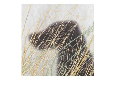 Opakowanie Karnet kwadrat z kopertą Dog