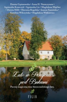 Okładka książki LATO W PENSJONACIE POD BUKAMI WYD. KIESZONKOWE