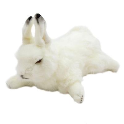 Pacynka Zając arktyczny. Wydawca: National Geographic. SmakLiter.pl Opakowanie Pacynka Zając arktyczny