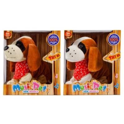 Opakowanie Pies interaktywny