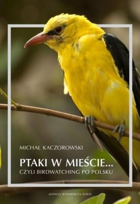 Ptaki w mieście czyli birdwatching po polsku. Autor: Kaczorowski Michał. SmakLiter.pl Okładka książki Ptaki w mieście czyli birdwatching po polsku
