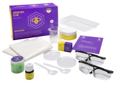 SmartBee Club eksperymenty naukowe Ruchome piaski. Autor: Irena Brignull. SmakLiter.pl Okładka książki SmartBee Club eksperymenty naukowe Ruchome piaski