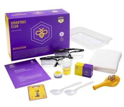 SmartBee Club Eksperymenty naukowe Śniegologia. Autor: Irena Brignull. SmakLiter.pl Okładka książki SmartBee Club Eksperymenty naukowe Śniegologia