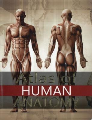 Atlas of Human Anatomy. Wydawca: MedPlus. SmakLiter.pl Opakowanie Atlas of Human Anatomy