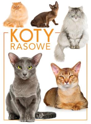KOTY RASOWE. Autor: Opracowanie zbiorowe. SmakLiter.pl Okładka książki KOTY RASOWE