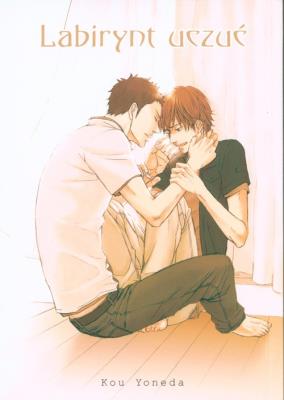 Okładka książki Labirynt Uczuć