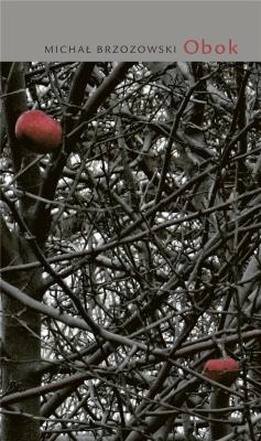 Okładka książki Obok