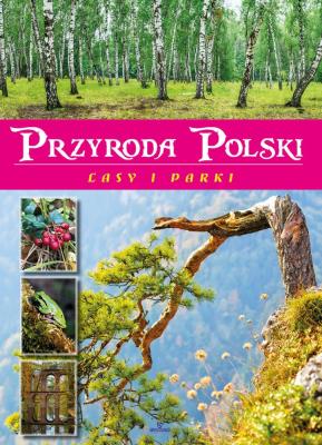 PRZYRODA POLSKI LASY I PARKI. Autor: ŻANETA ZAJĄC. SmakLiter.pl Okładka książki PRZYRODA POLSKI LASY I PARKI