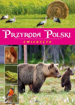 PRZYRODA POLSKI ZWIERZĘTA. Autor: ŻANETA ZAJĄC. SmakLiter.pl Okładka książki PRZYRODA POLSKI ZWIERZĘTA