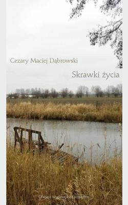 Skrawki życia. Autor: Dąbrowski Cezary Maciej. SmakLiter.pl Okładka książki Skrawki życia