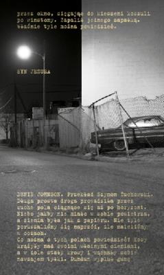 Syn Jezusa. Autor: Denis Johnson. SmakLiter.pl Okładka książki Syn Jezusa