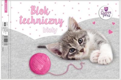 Opakowanie Blok techniczny biały A4/10K Kot