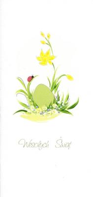 Opakowanie Karnet Wielkanoc DL W19 - Biedronka