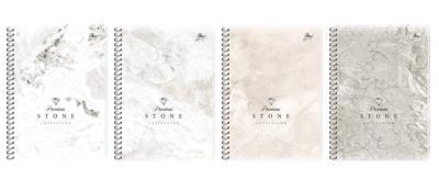 Opakowanie Kołozeszyt B5/100K kratka perf. Met. Stone (5szt)