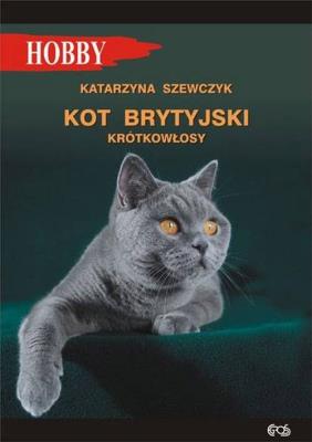 Kot brytyjski krótkowłosy w.2. Autor: Katarzyna Szewczyk. SmakLiter.pl Okładka książki Kot brytyjski krótkowłosy w.2