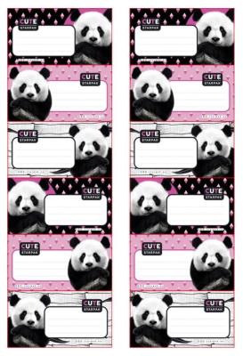 Opakowanie Naklejki na zeszyt (25szt)