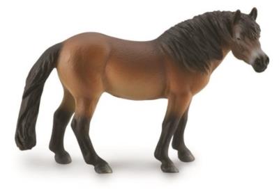 Opakowanie Ogier Kuc Exmoor