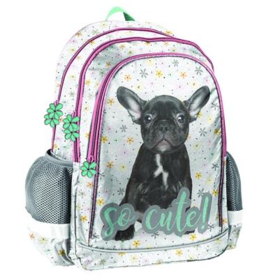 Opakowanie Plecak szkolny Buldog PP20BU-081 PASO