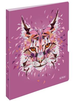 Opakowanie Segregator A4 2,5cm Wild Animals Lynx