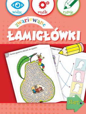 Okładka książki Widzę, myślę, rysuję. Zwariowane łamigłówki