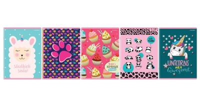 Zeszyt A5/16K kratka Dziewczyny (20szt). Wydawca: Top 2000. SmakLiter.pl Opakowanie Zeszyt A5/16K kratka Dziewczyny (20szt)