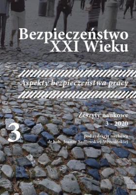 Okładka książki Bezpieczeństwo XXI Wieku